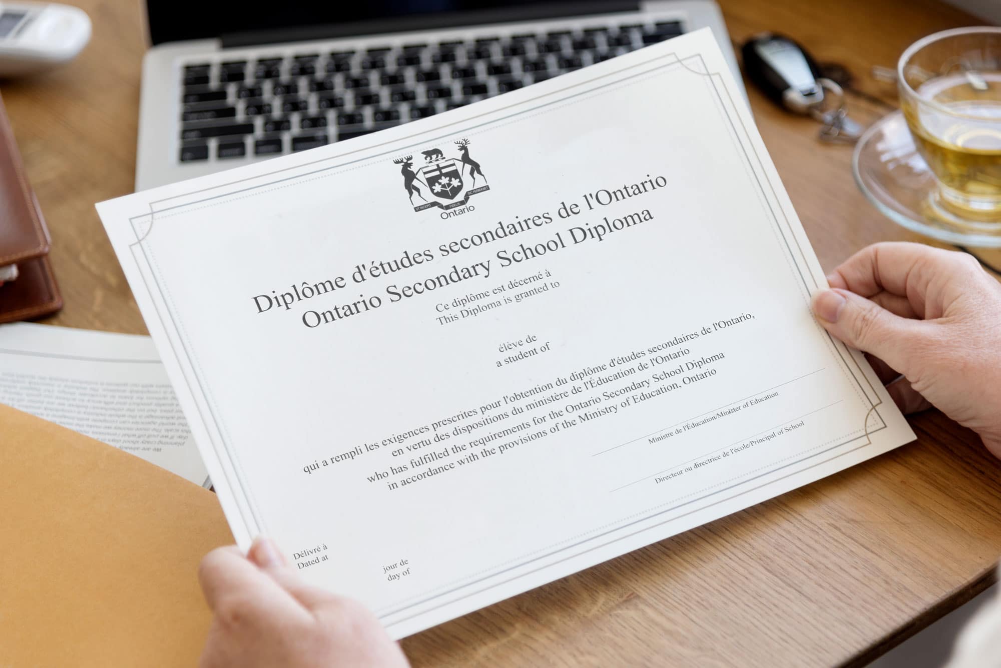 OIA 온라인 프로그램 이미지